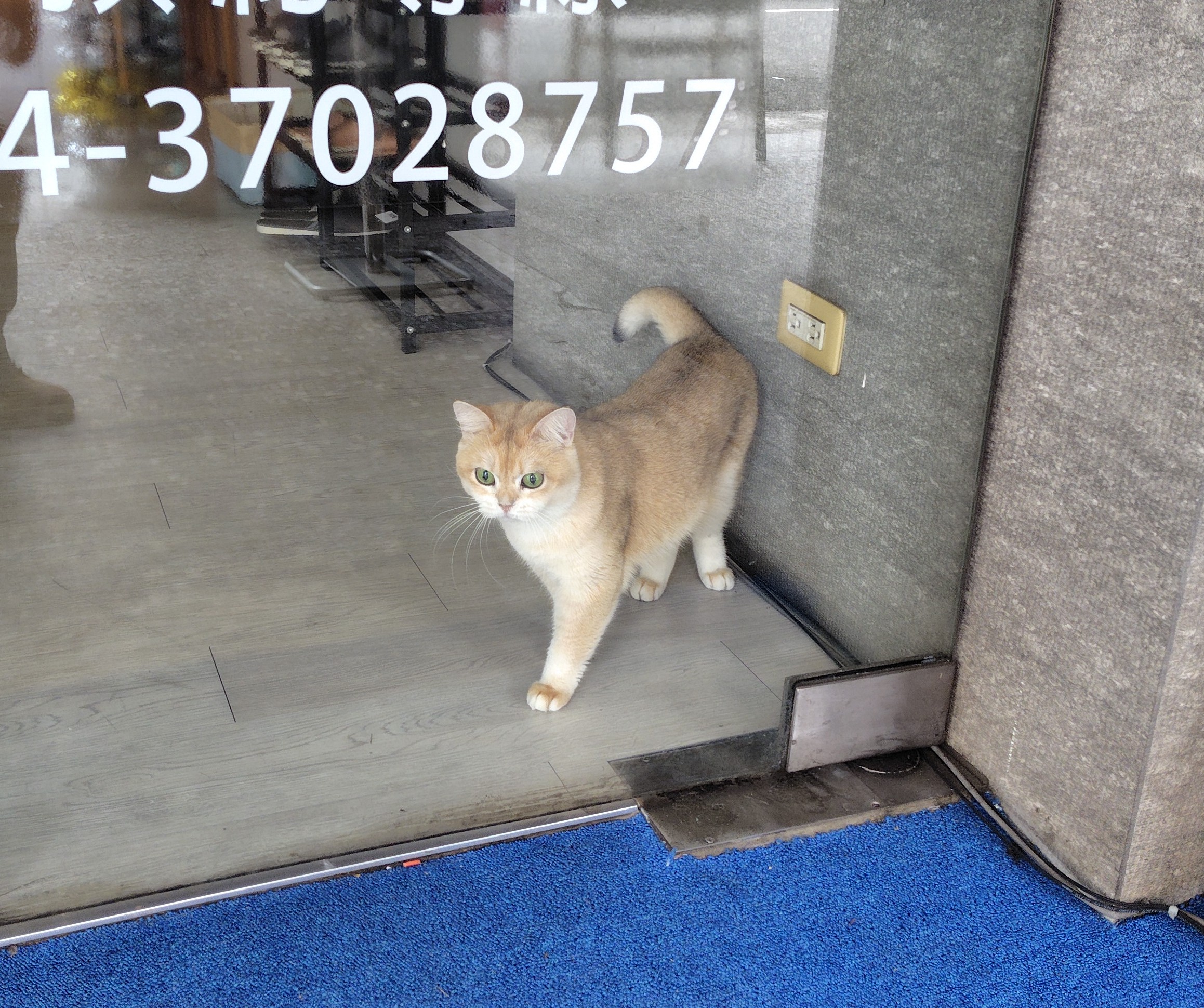 customer_picture