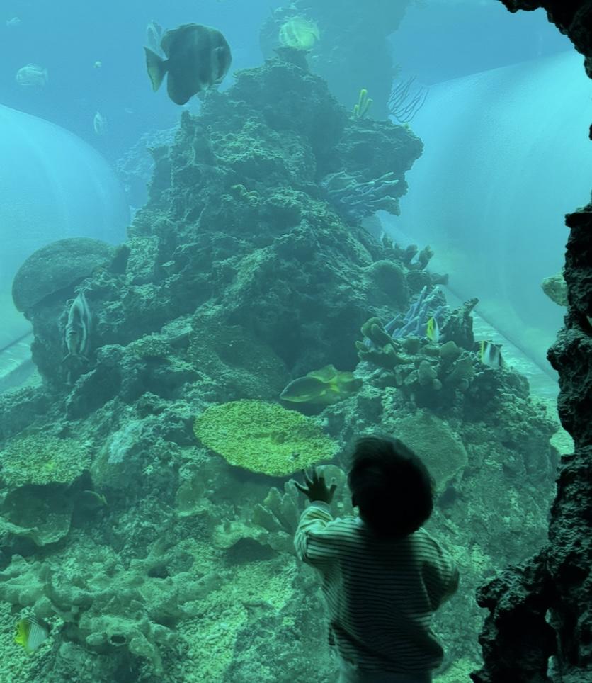 購物麻麻的賣場