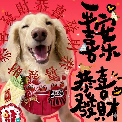 Kiwi豆漿家二手拍