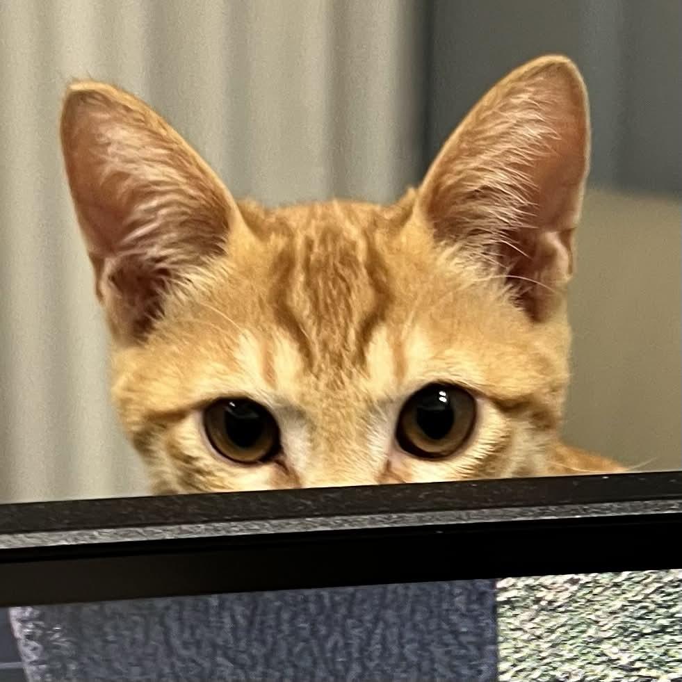 摩卡的電玩小倉庫