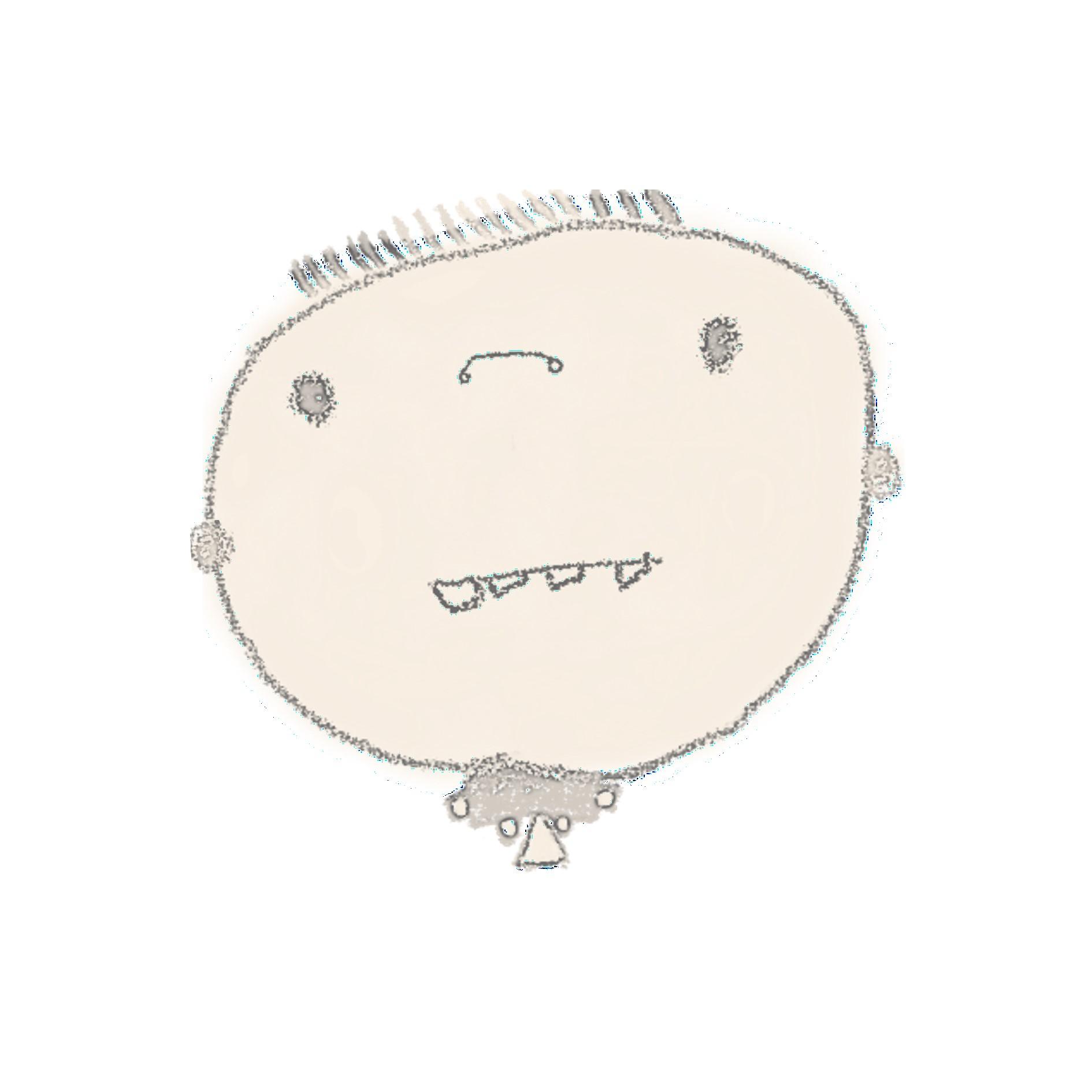 蘿莉爸的雜貨店