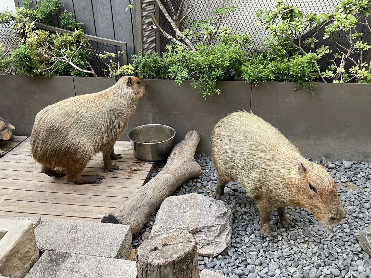 晴の空文具日貨店