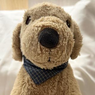 KUMA 小舖