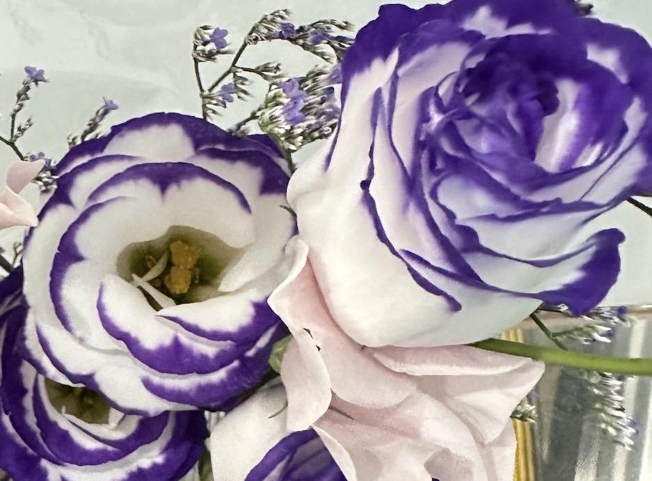 阿默球Amateur Buy 4 U