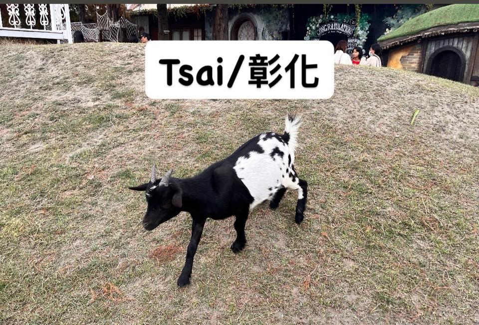 Tsai