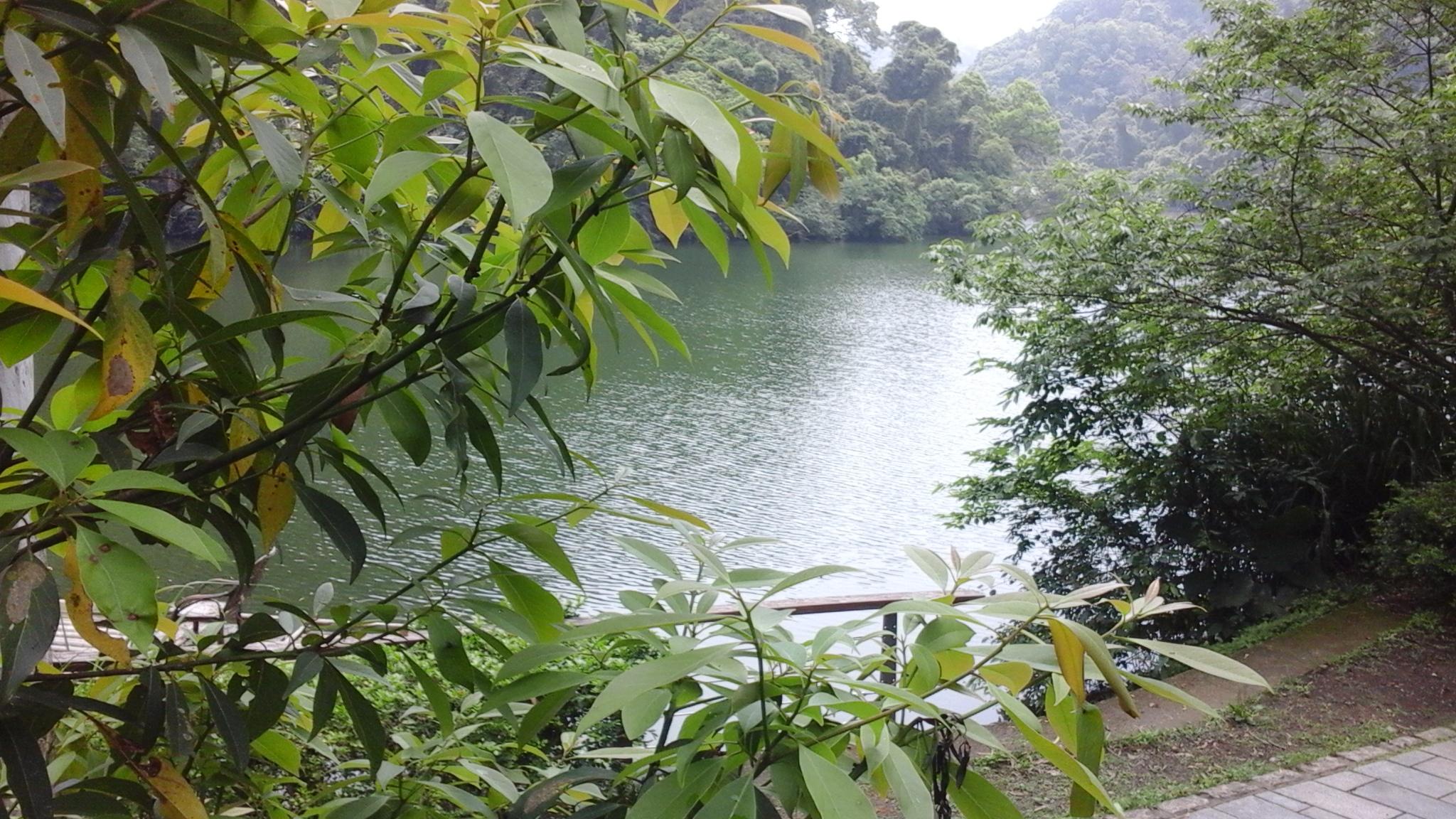 福寶