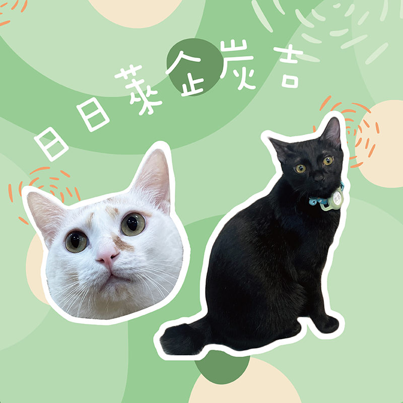 日日萊企炭吉
