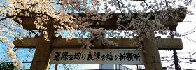 翔安富文具
