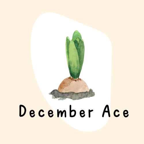 December Ace