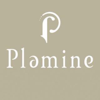 Plaminetw_official
