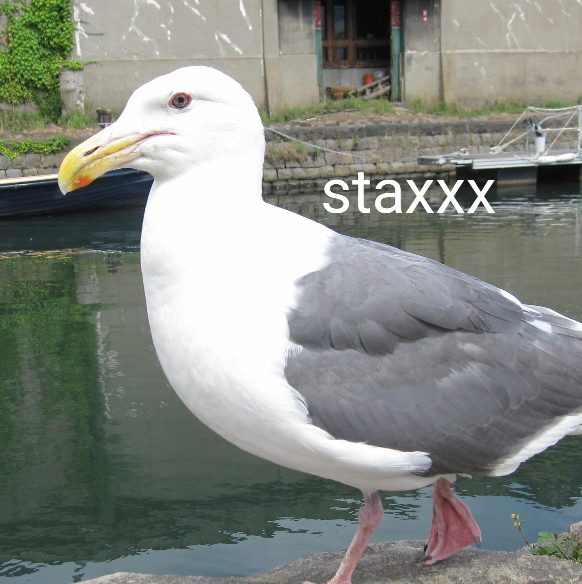 日本小舖花啦啦~