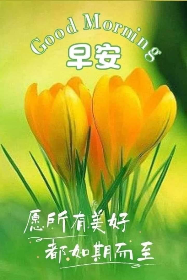 鐵道1號小雜貨舖