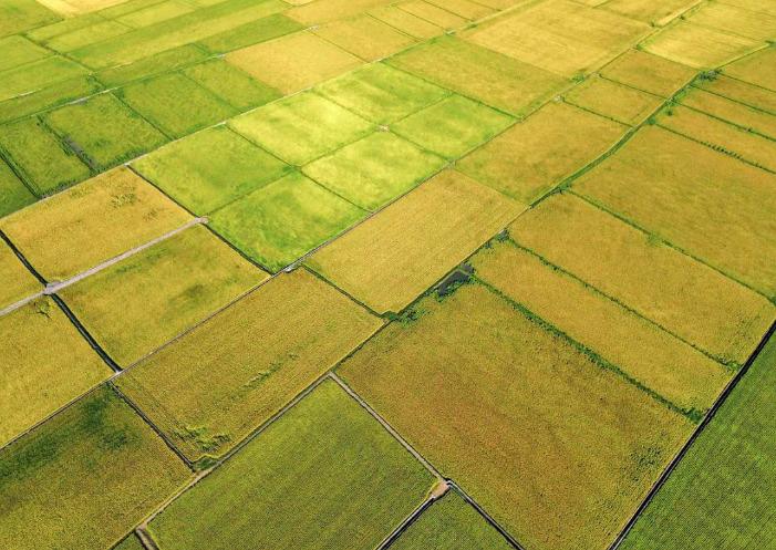 Peralta 普羅走踏