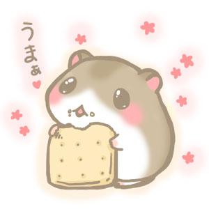 虹の四季－日本代購&雜貨屋