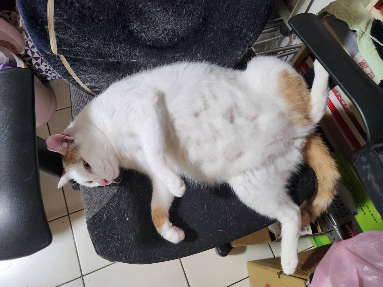 Sigmanet電腦廣場／家庭百貨