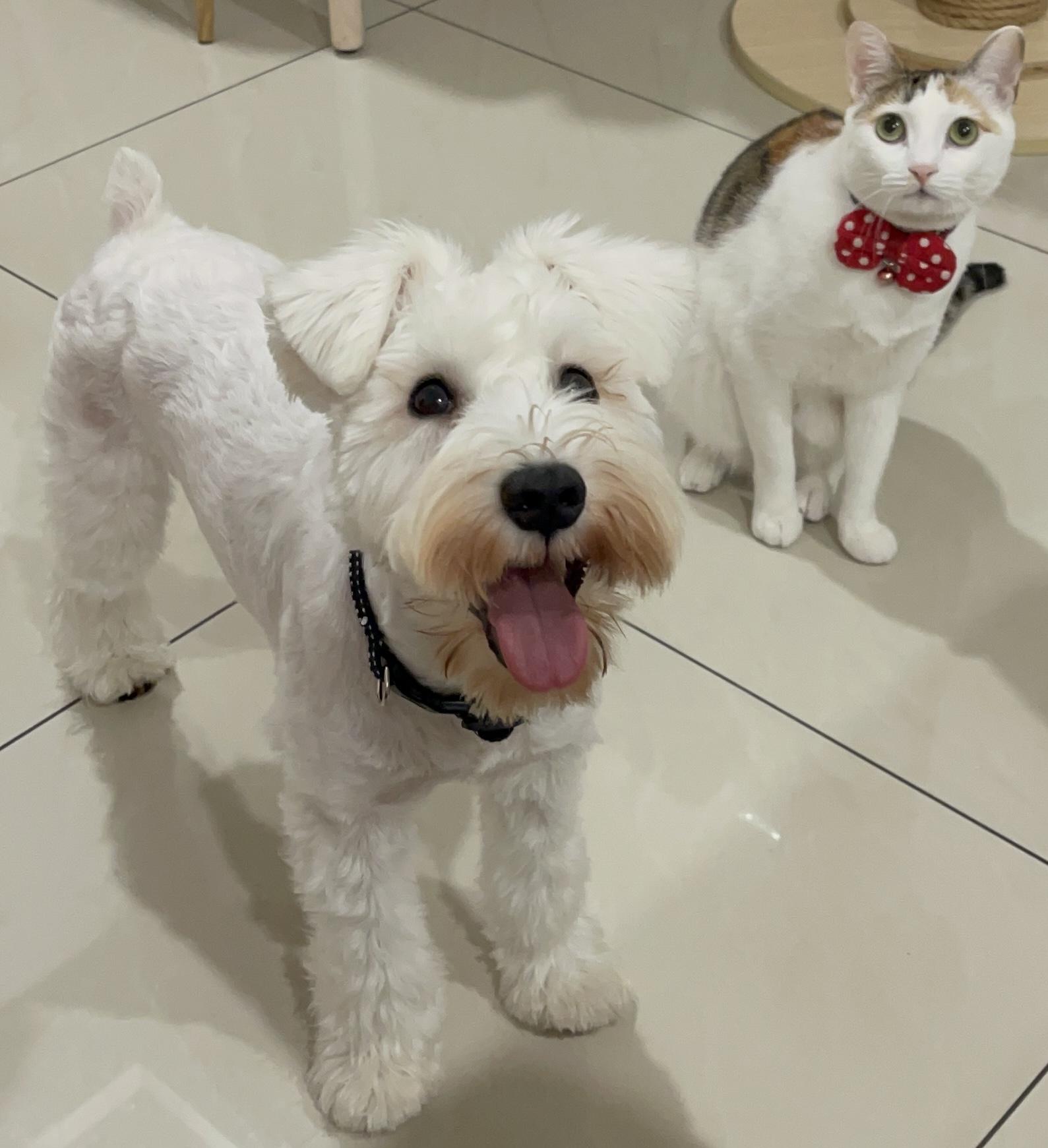 扣扣醬生活工坊