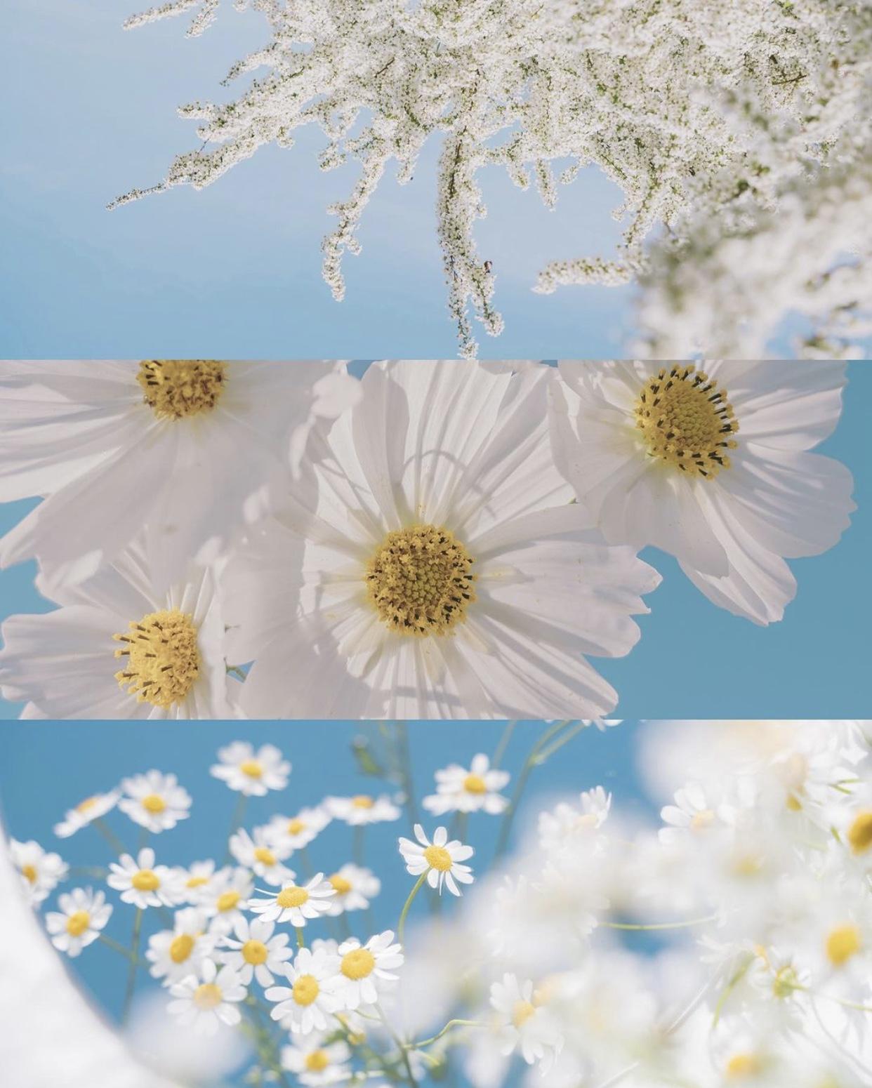 二手全新拍賣出清