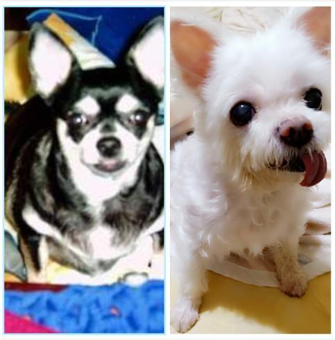 宜烘焙器具小舖 72611923