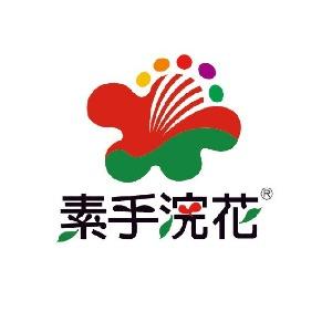 素手浣花