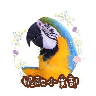 妮歐小賣部｜鸚鵡用品玩具首選・最懂鳥奴的溫暖服務