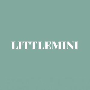 LITTLEMINI 質感選物店 🧸