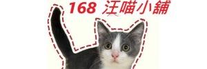 ✨【168汪喵】✨萌寵小店