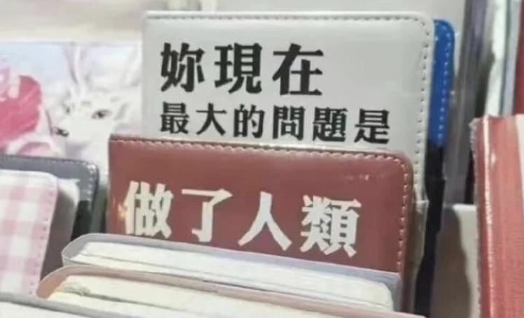 Chillcorner ｜AKIMIA 閨蜜