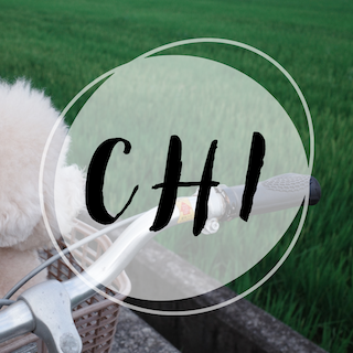 《☀︎ CHI ☻♪》