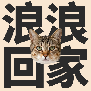 讓浪浪回家
