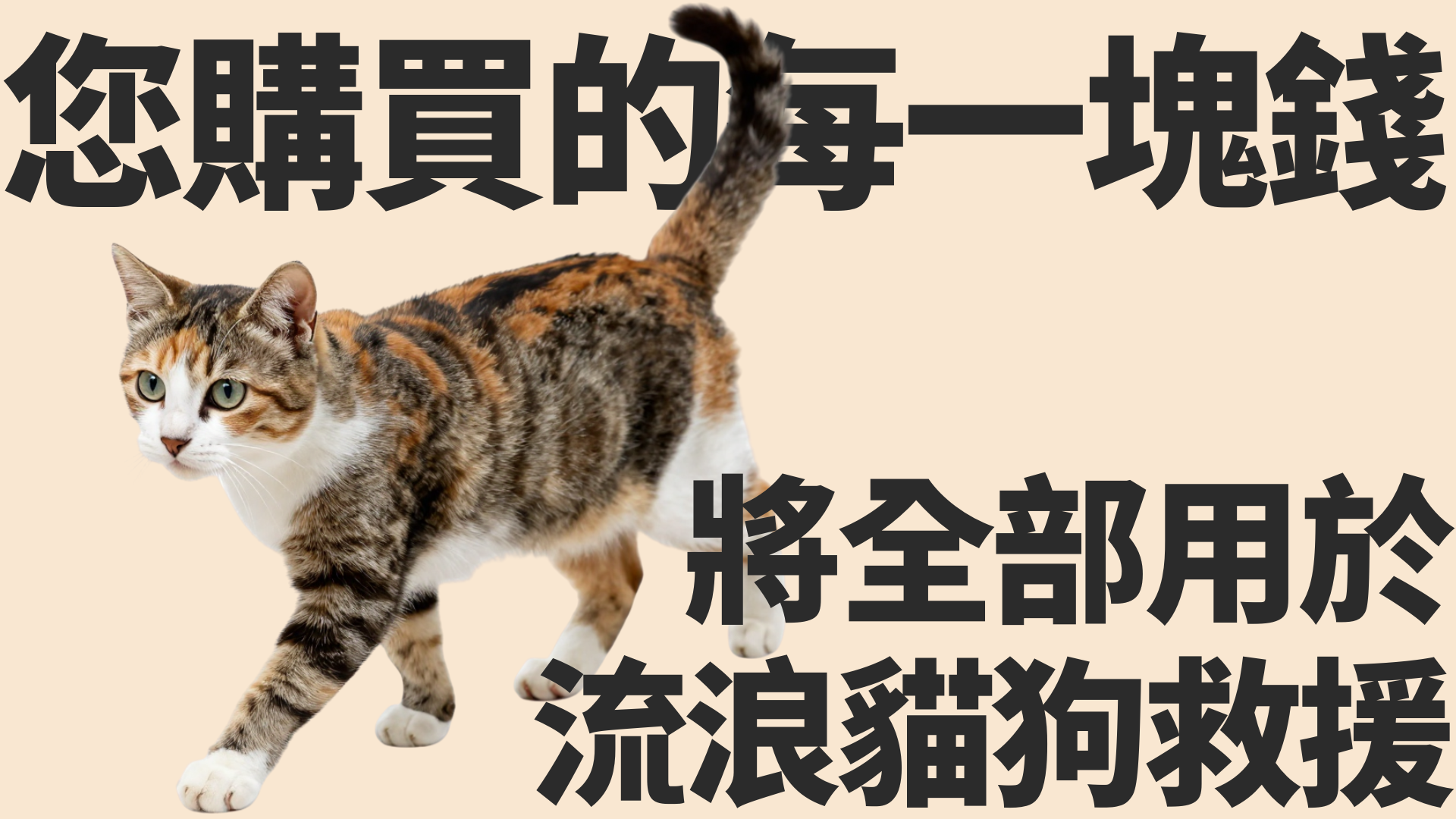 退貨政策