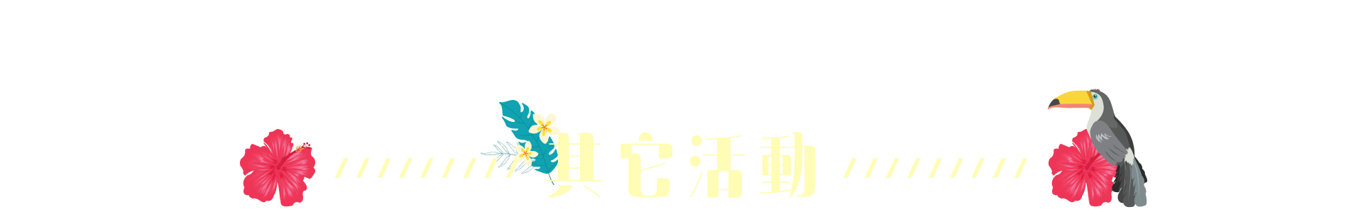 更多活動