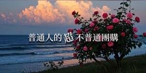 普通人的超不普通團購