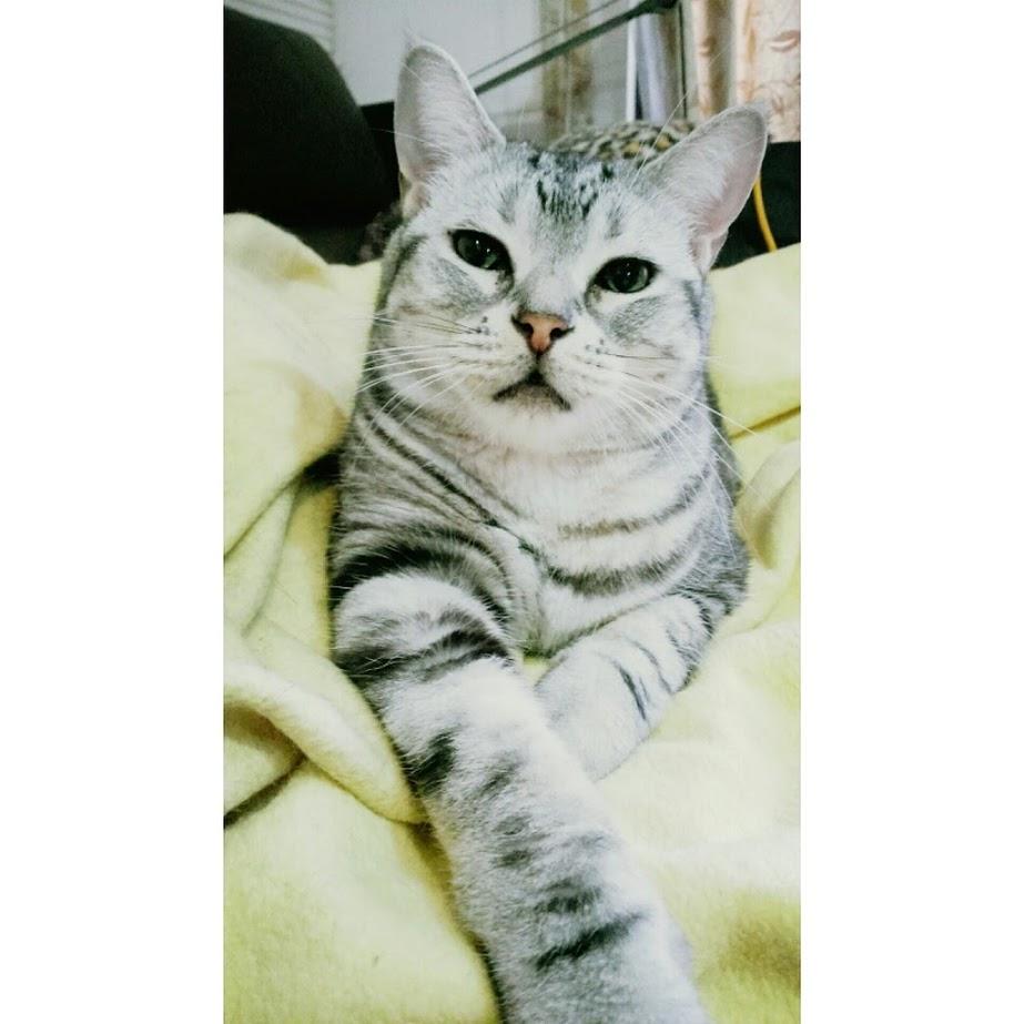 無國界代購樂