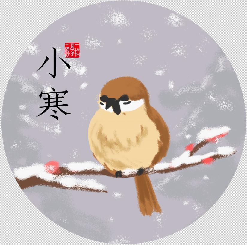 澎澎雀雀不是胖