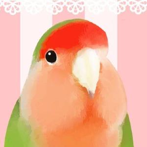 啾啾的型男日記