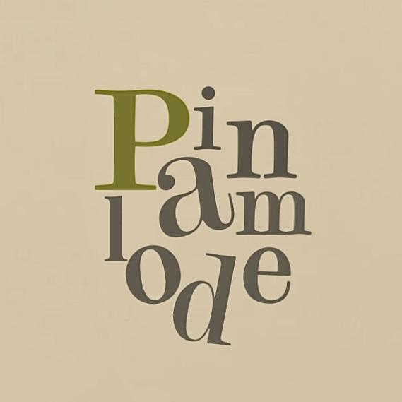 Pin_lamode