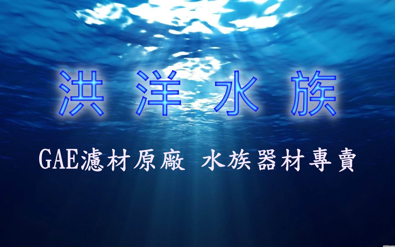 洪洋水族 GAE濾材原廠 水族器材專賣