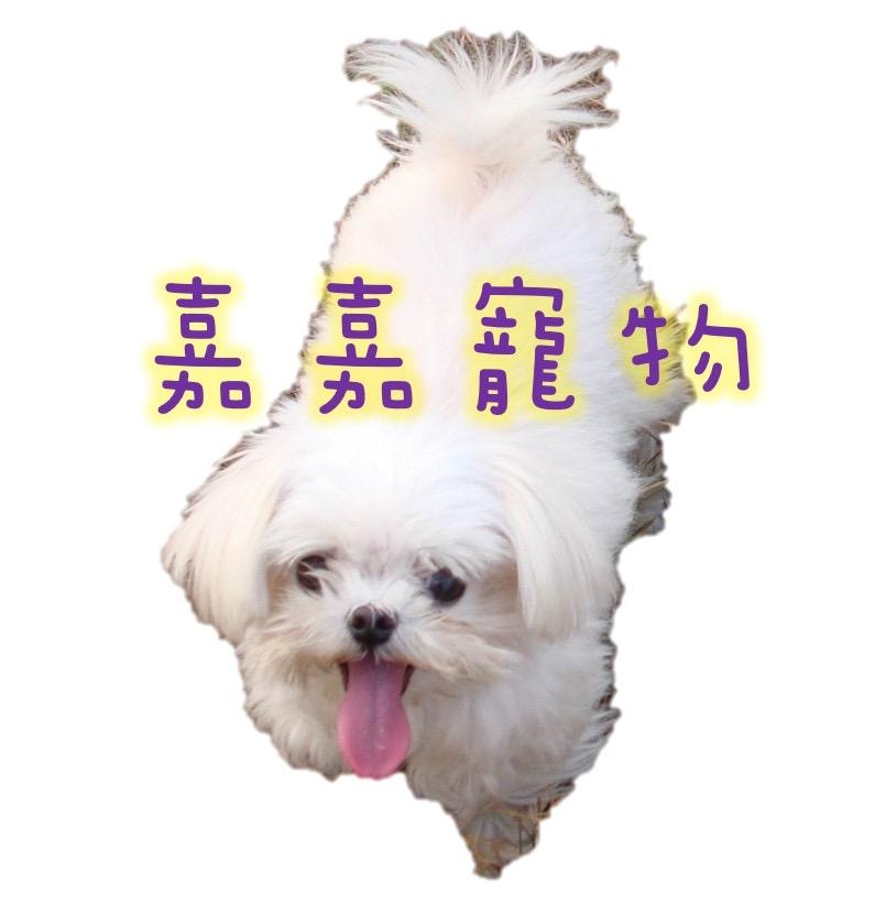 【嘉嘉寵物】水族兩棲爬蟲（公休詳見官網公告）