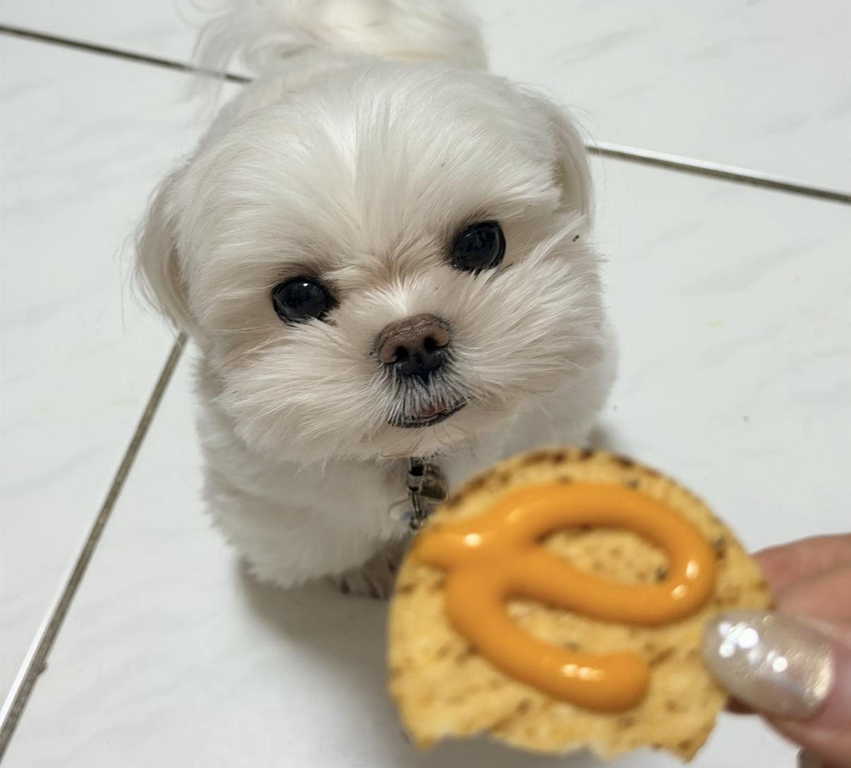 ㄌㄌ