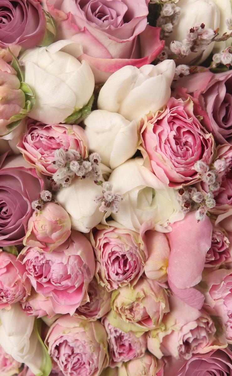 🇺🇸🤍HALO！MAVIS！好㊣代購🤍🇫🇷