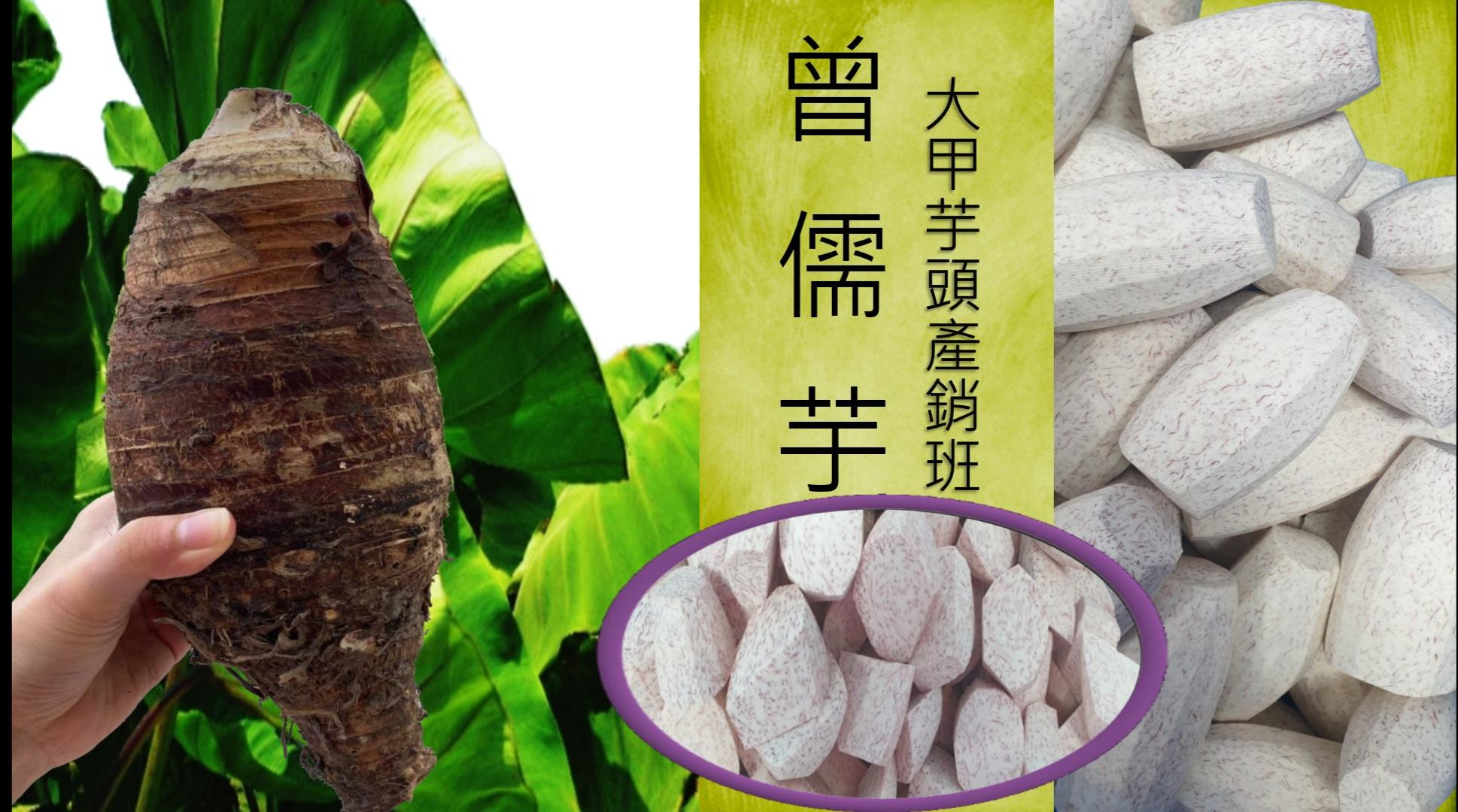 曾儒芋