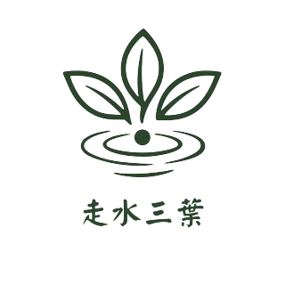 走水三葉｜Sun Leaves 阿里山茶園、工廠、自產自銷