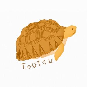 偷偷摸摸 KAKAOFRIENDS 泰國代購 韓國代購 萊恩 春植 代購 烏龜 T恤 禮物 生日 TOUTOUMOMO