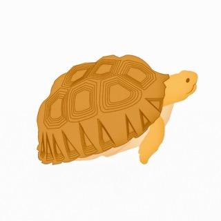 偷偷摸摸 KAKAOFRIENDS 泰國代購 韓國代購 萊恩 春植 代購 烏龜 T恤 禮物 生日 TOUTOUMOMO