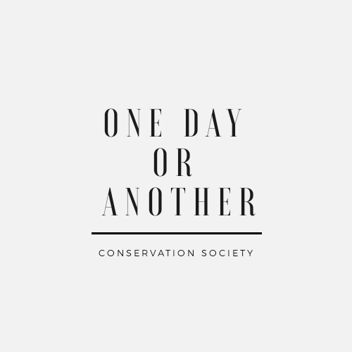 ONEDAY OR ANOTHER｜女鞋、女包旗艦店