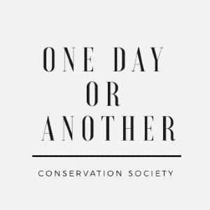 ONEDAY OR ANOTHER女鞋女包旗艦店