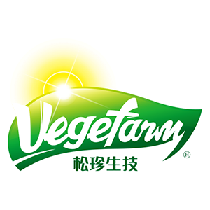 松珍素食