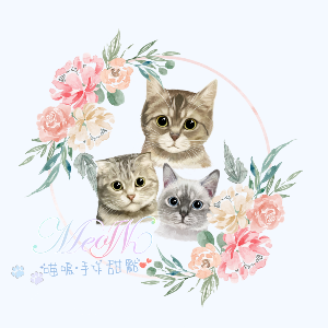 🦄️《 Mitty🎀生活小舖 》🧜🏻‍♀️