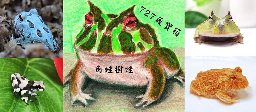 727藏寶箱-角蛙/樹蛙/蟋蟀-飼料