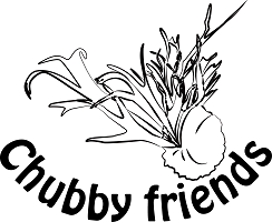 Chubby Friends